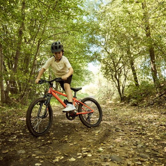 ROCKRIDER Детски планински велосипед, 20 "